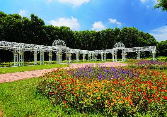 彰化溪州費茲洛公園